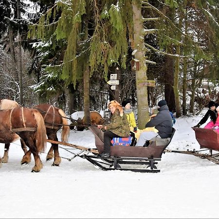 SuwałkiWigierski Park Narodowyアパートメント エクステリア 写真