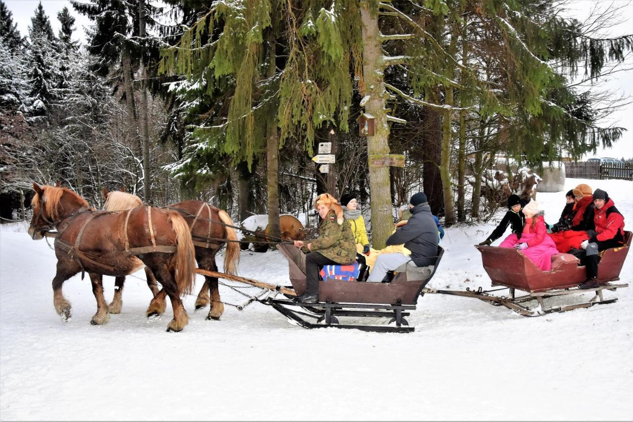 Wigierski Park Narodowy Suwałki エクステリア 写真