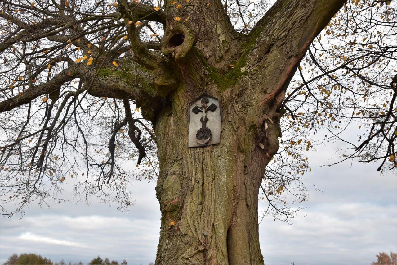 Wigierski Park Narodowy Suwałki エクステリア 写真
