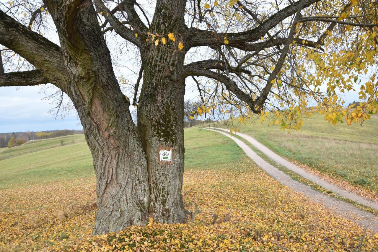 Wigierski Park Narodowy Suwałki エクステリア 写真