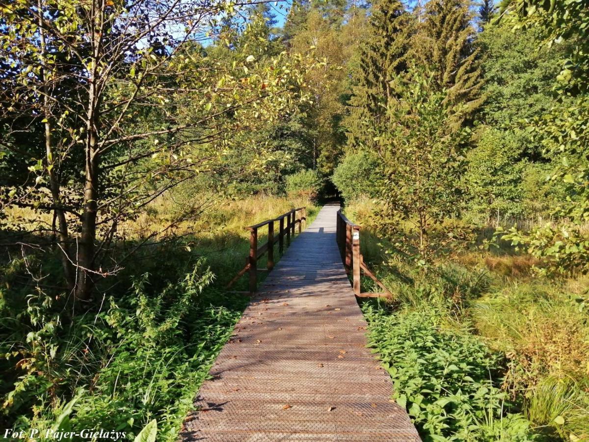 SuwałkiWigierski Park Narodowyアパートメント エクステリア 写真